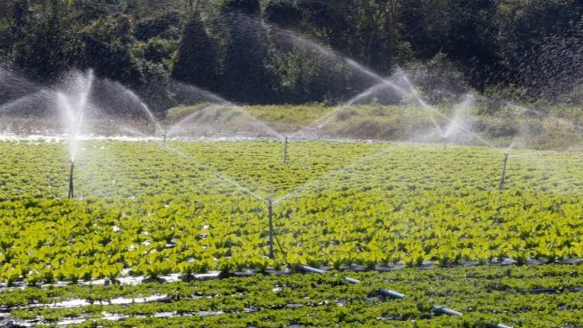 Produtores agrícolas já empregam diversos instrumentos para gestão de risco climático oferecidos por governos e empresas. Ainda assim, muitos apoiam discurso negacionista